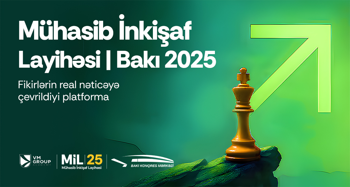 Accountant Development Project