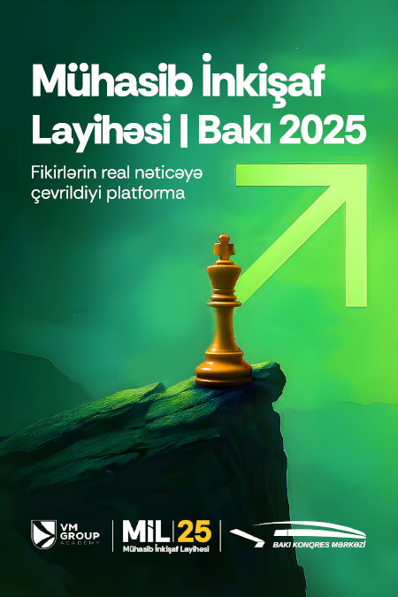 Accountant Development Project